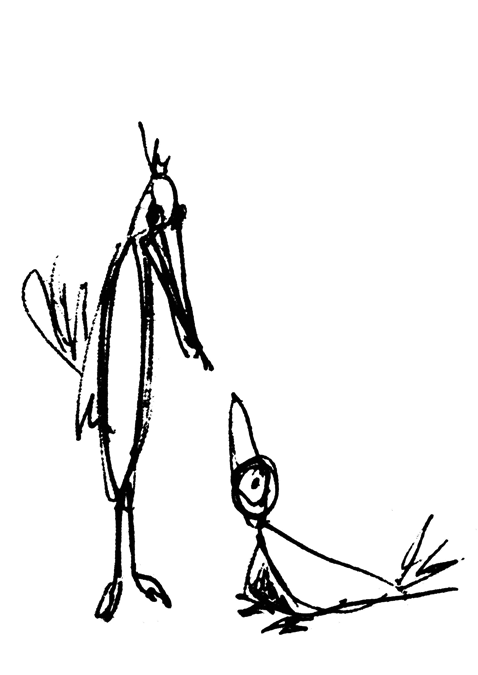 croquis au trait oiseau3