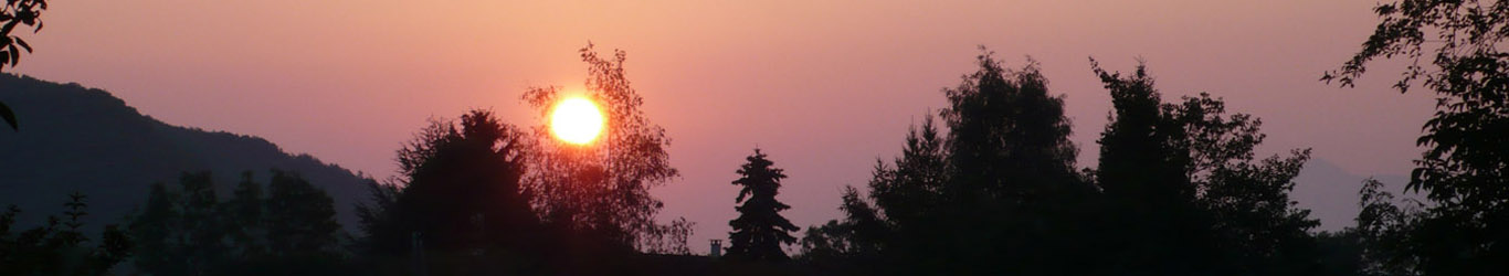 photo lever de soleil derrière un rideau d'arbres